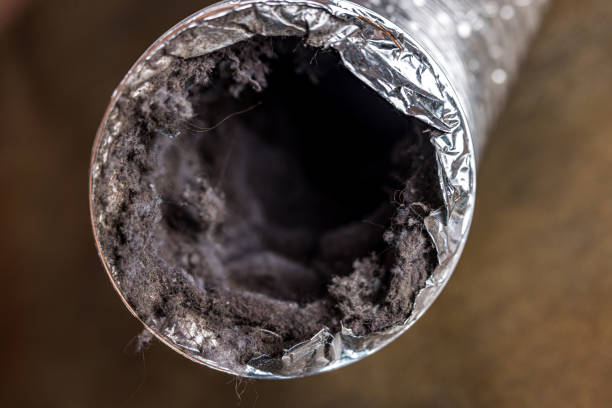 Best Air Duct Cleaning Near Me  in East Rockaway, NY