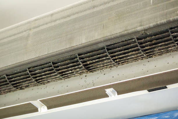 Best Dryer Vent Cleaning Services  in East Rockaway, NY